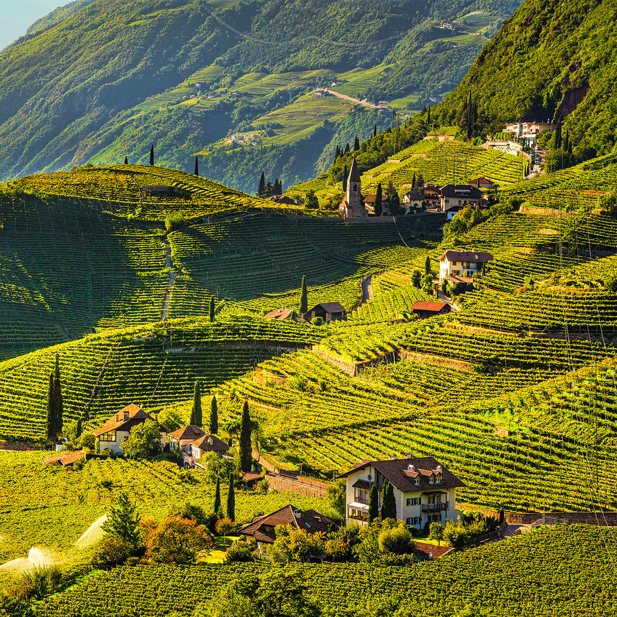 Trentino Alto Adige