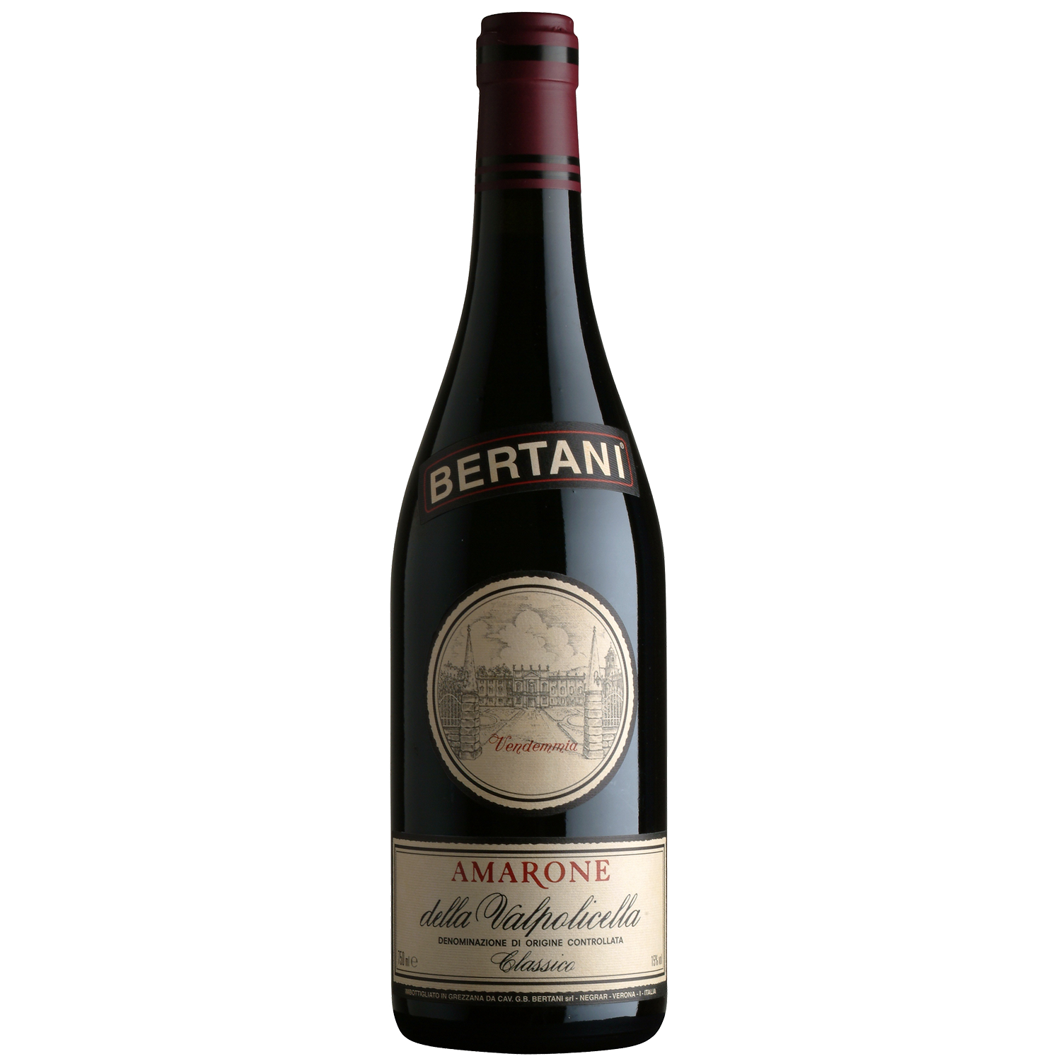 Bertani Amarone della Valpolicella Classico DOC 2013